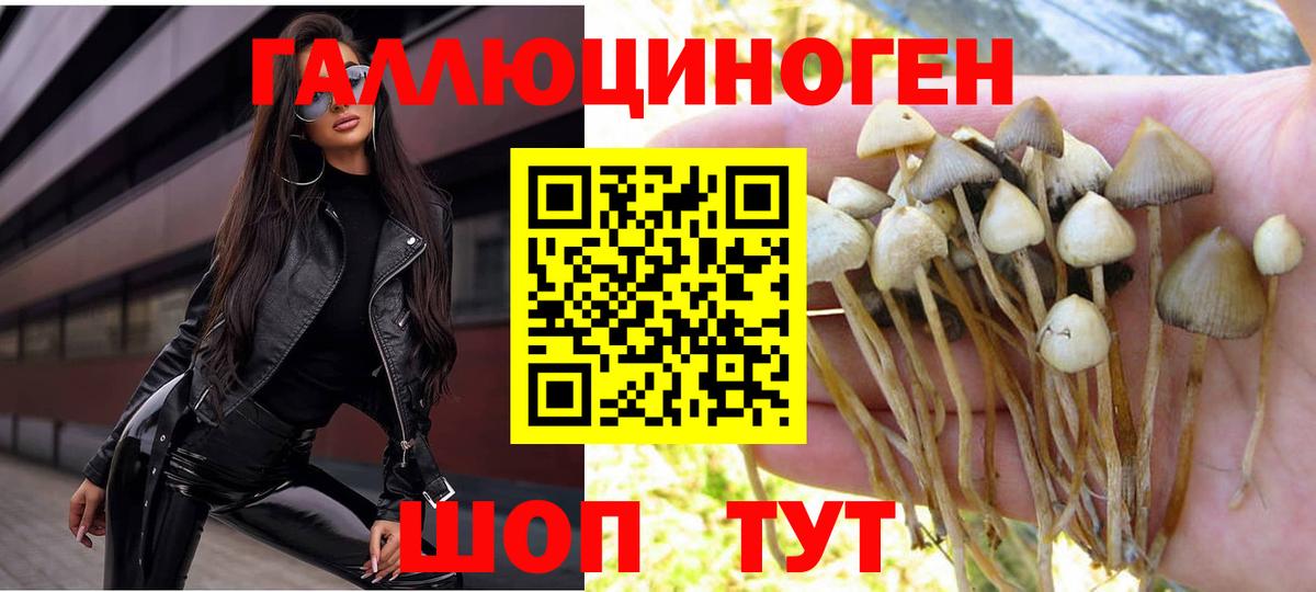 Псилоцибиновые грибы Psilocybine cubensis  Вход с VPN  Ишимбай 